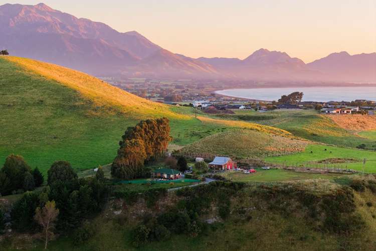 40 State Highway 1 Kaikoura Surrounds_37