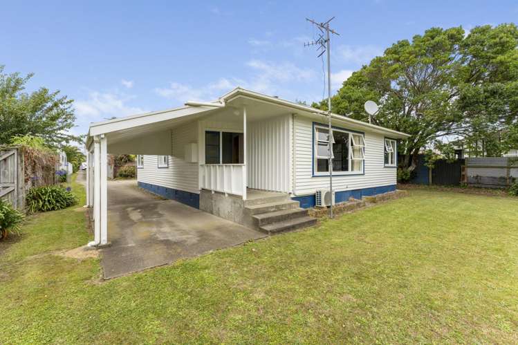 20A Mckenzie Street_0