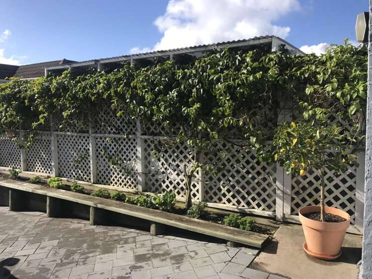 40a Otonga Road Springfield_13