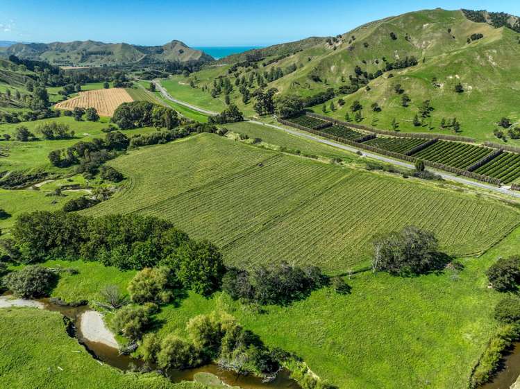 Lots 1 and 2 DP 428308 - Wharerata Road Muriwai_10