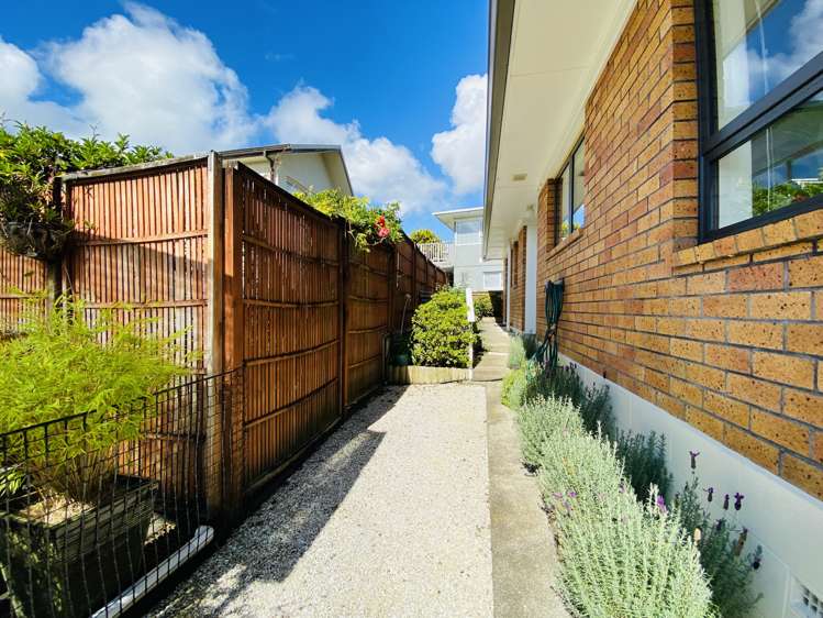 143 Seddon Street Pukekohe_15