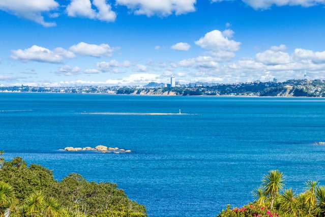 7 Ringwood Street Torbay_4