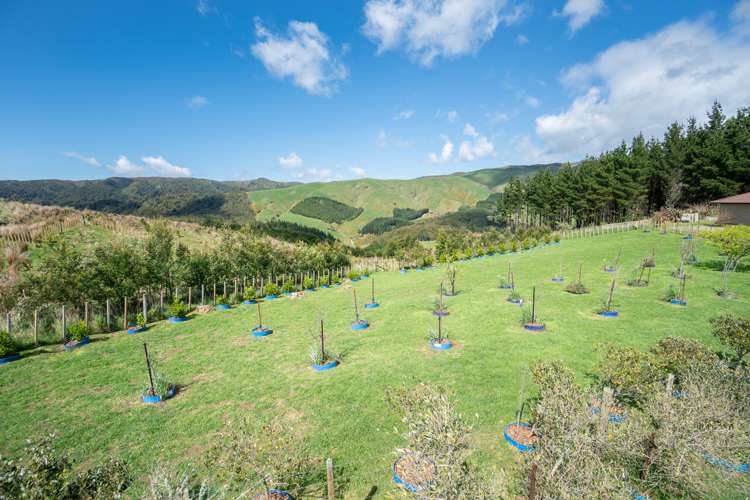 265 Ngahere Park Road Turitea_23