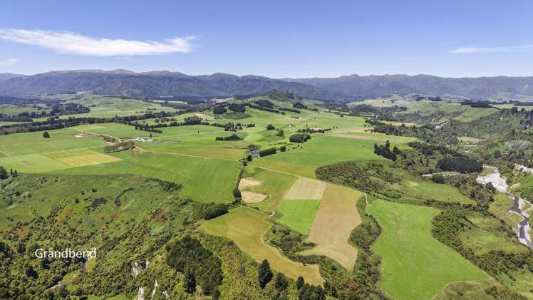 Generational Opportunities_0