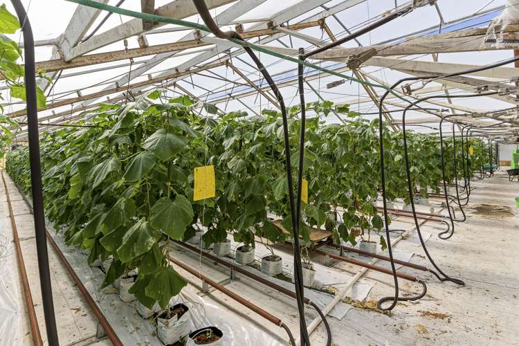 386 Drury Hills Road Drury_16