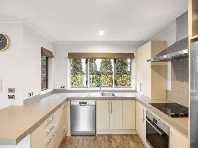 13 Stadium Lane Whitiora_3