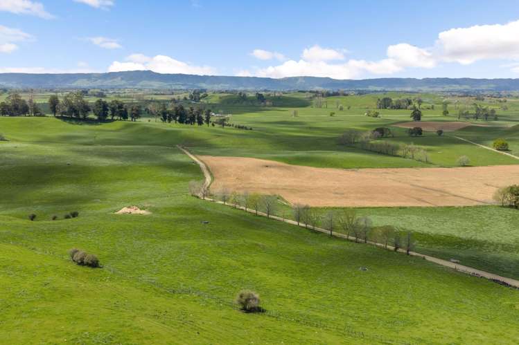 58 Nicholson Road Piarere_21