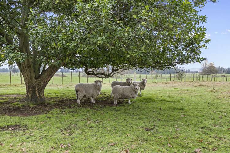 2431 State Highway 27 Tahuna_21