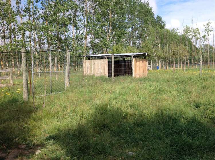 1029 Two Chain Road Swannanoa_19