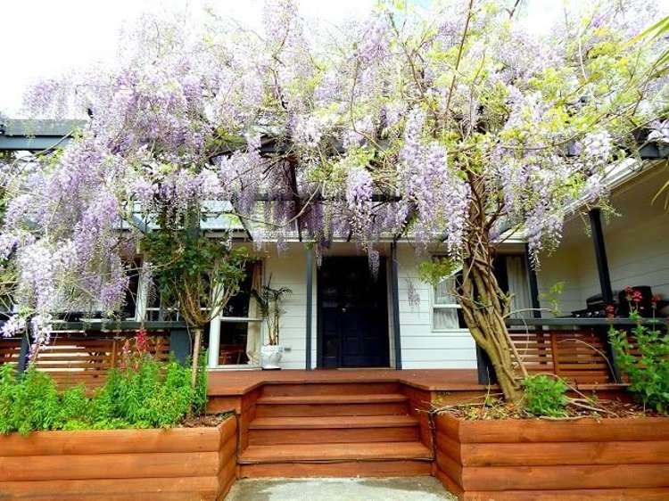 145 Pembroke Street Carterton_12