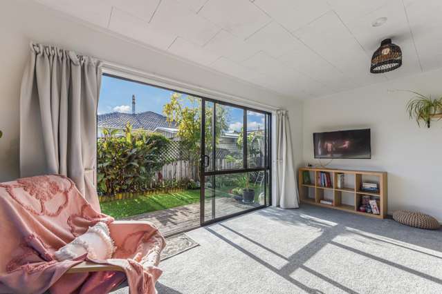 2/42a Songer Street Stoke_1