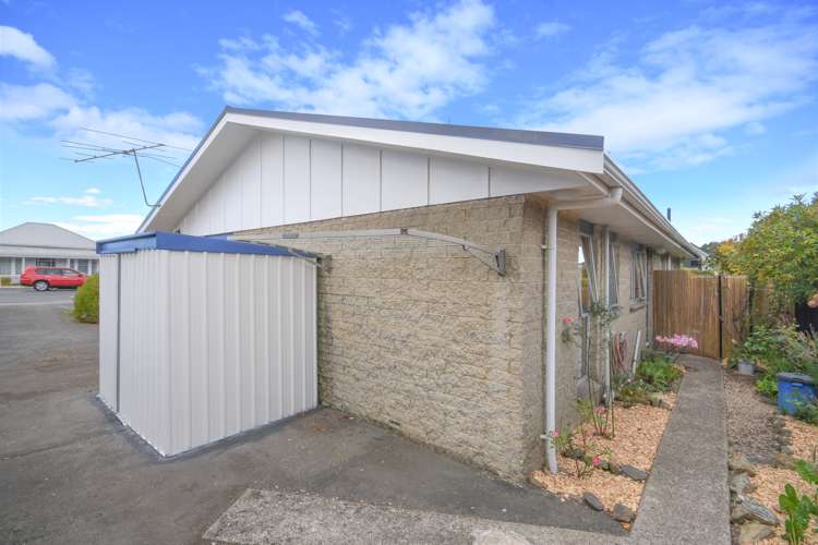 28b David Street Caversham_11