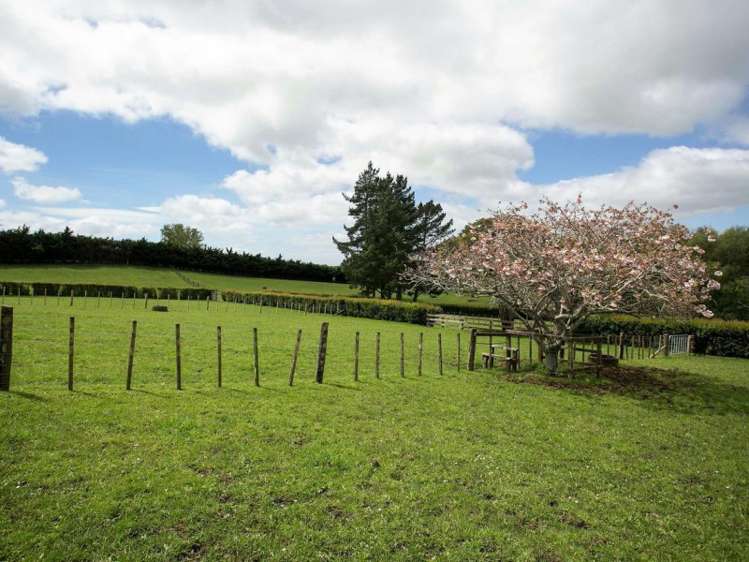 16 Laxon Road Whatawhata_11