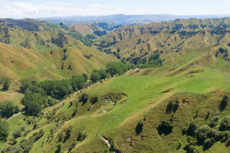 131 Rangitane Road Mangaweka_15