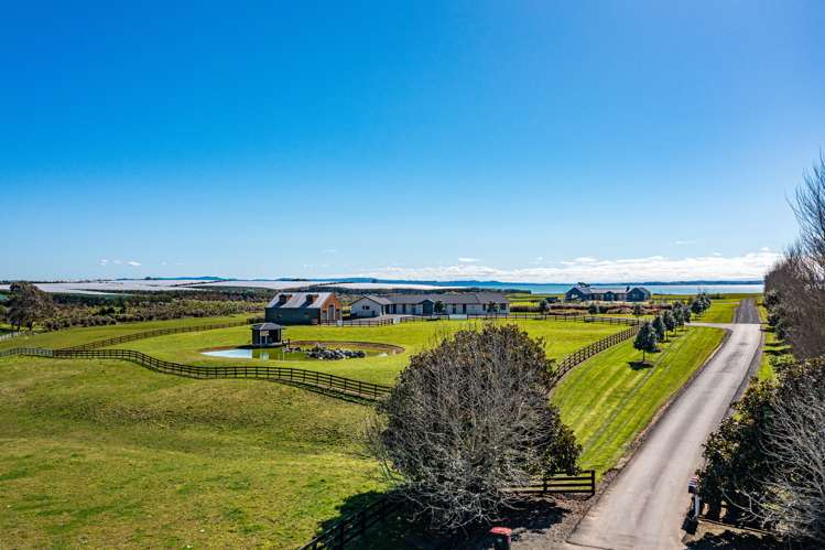 80 Ewen Place Karaka_6