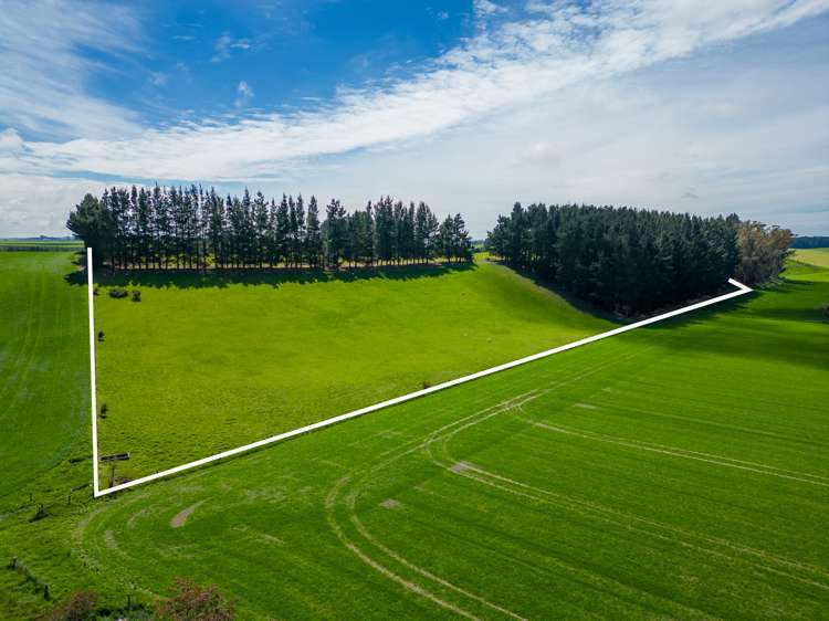 277 Hook School Road Makikihi_26