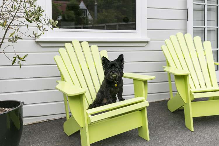 3 Tyne Street Island Bay_21