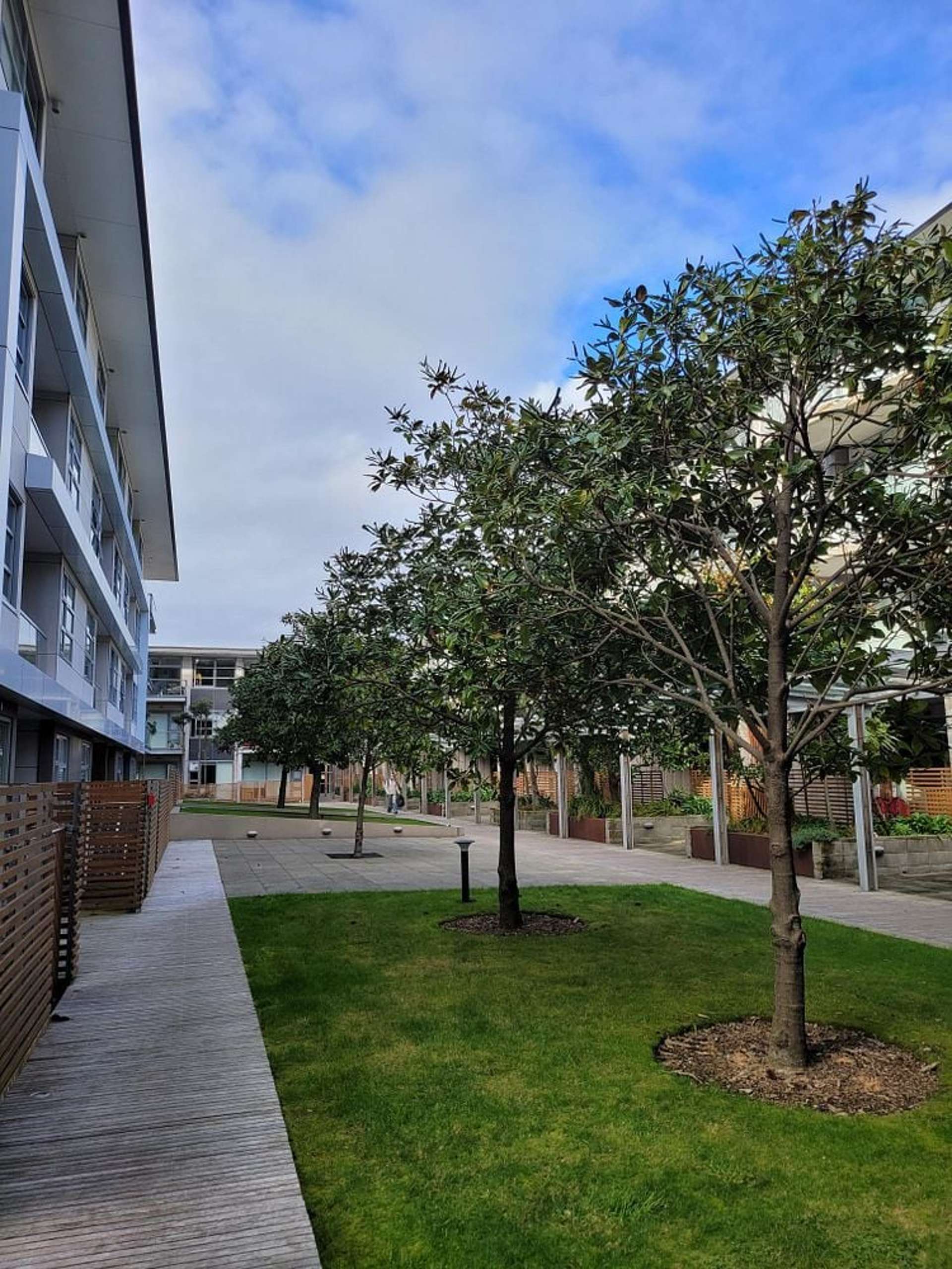 28 Torrens Terrace Mount Cook_0