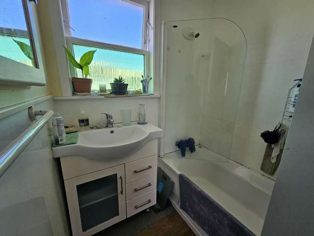 38 Balmoral Street Levin_4