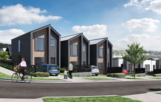 27 Nanjing Road Pukekohe_3