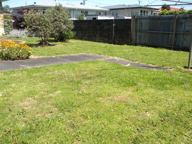 203 Spinley Street Te Awamutu_3