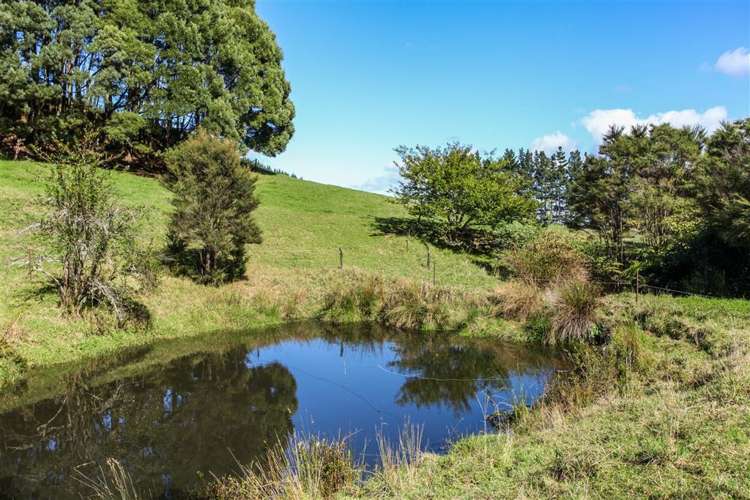 104b Fausett Road Ararimu_12