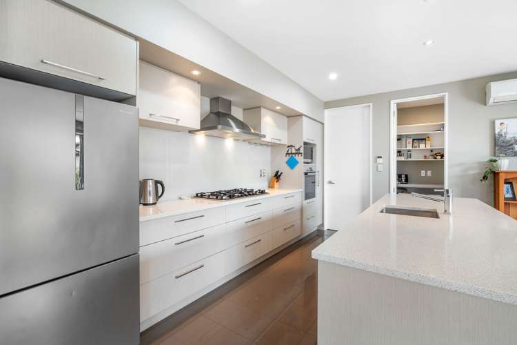 10 Pahua Street Pegasus_1