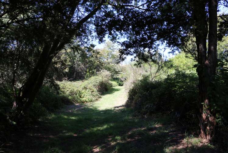 31 Taupahi Road Turangi_20