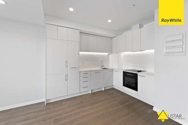 508/1 Enfield Street Mount Eden_2