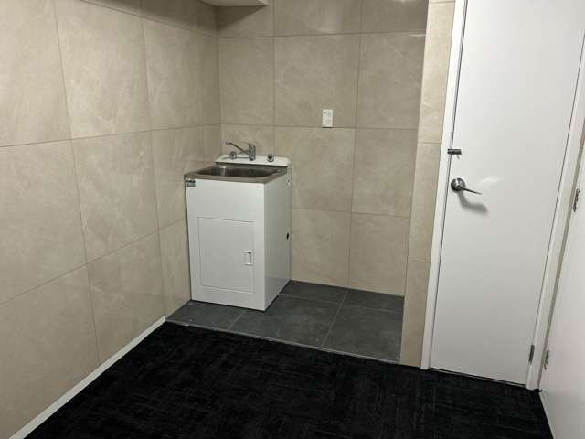 Matthews Road Flat Bush_1