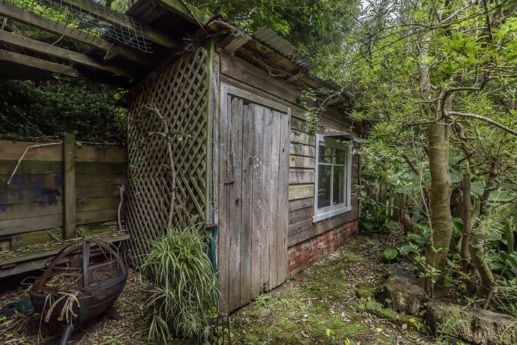 3 Levina Avenue Aro Valley_12