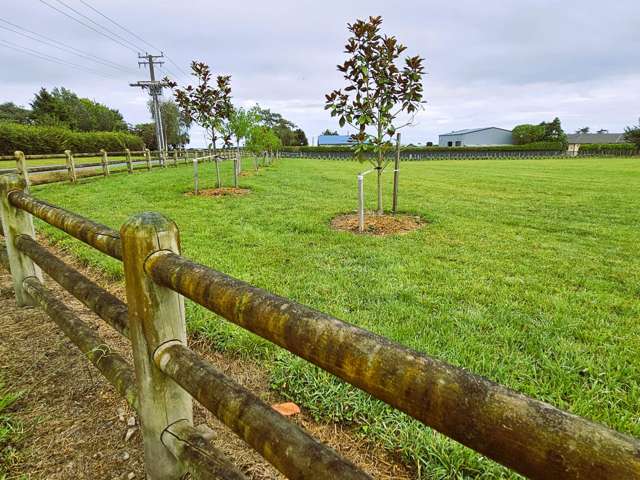 5 Arete Lane Levin_2
