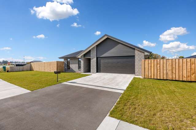 39 Da Vinci Avenue Leeston_1