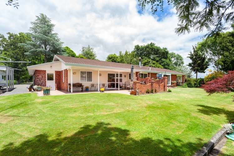 113 Domain Road Putaruru_20