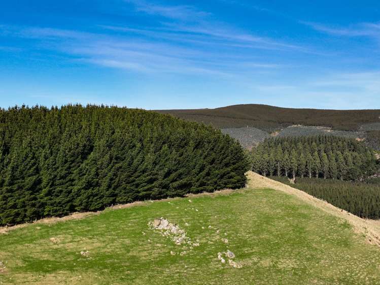 Hole and Corner Road Ferndale_10