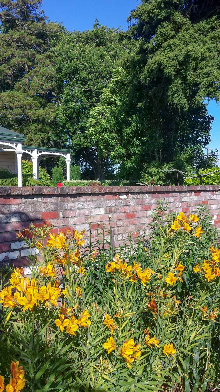 23 Lee Road Burbush_24