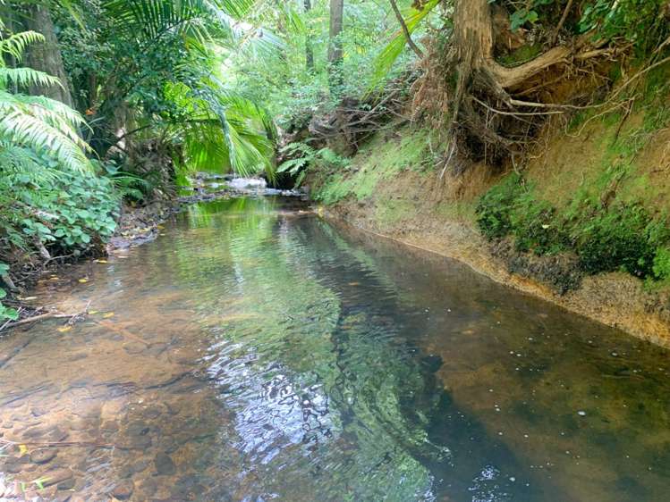 29 Cape Barrier Road Great Barrier Island (Aotea Island)_8