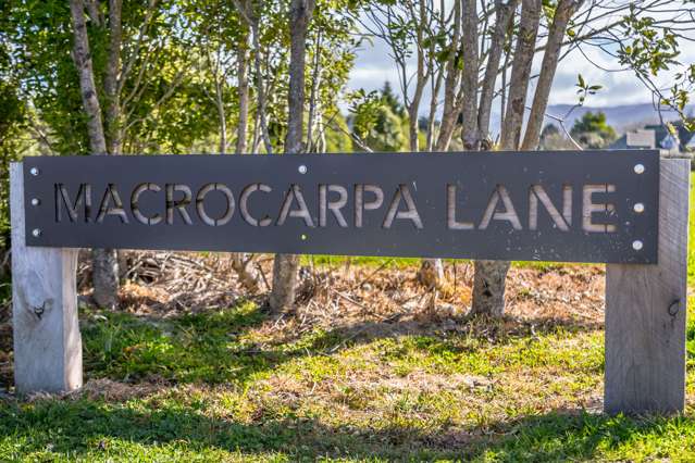 5,7,8a Macrocarpa Lane Carterton_2