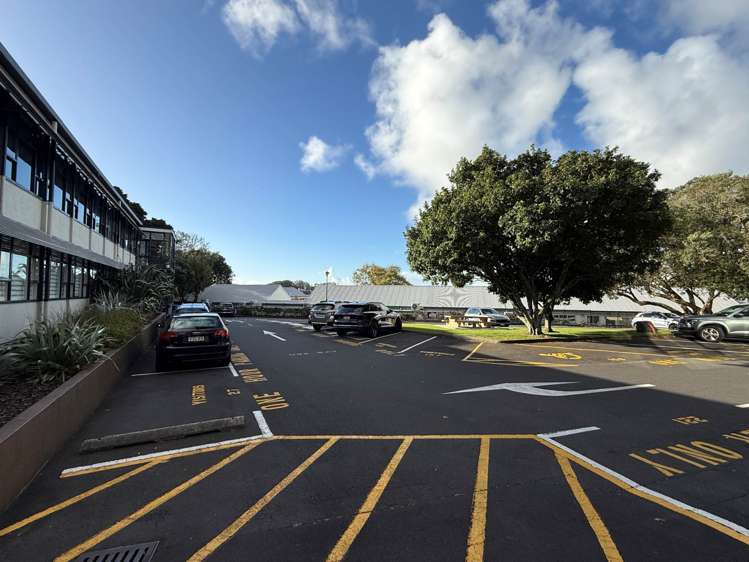 27 Gillies Avenue_0