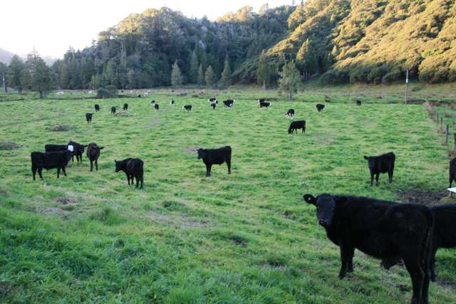 0n Mangaonga Road Ahititi_3