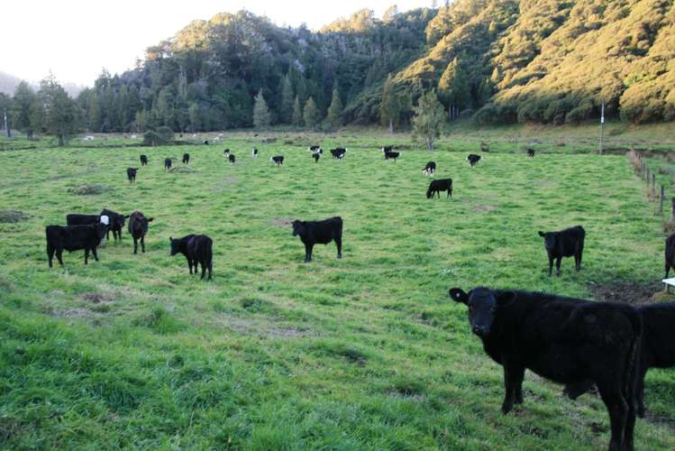 0n Mangaonga Road Ahititi_3