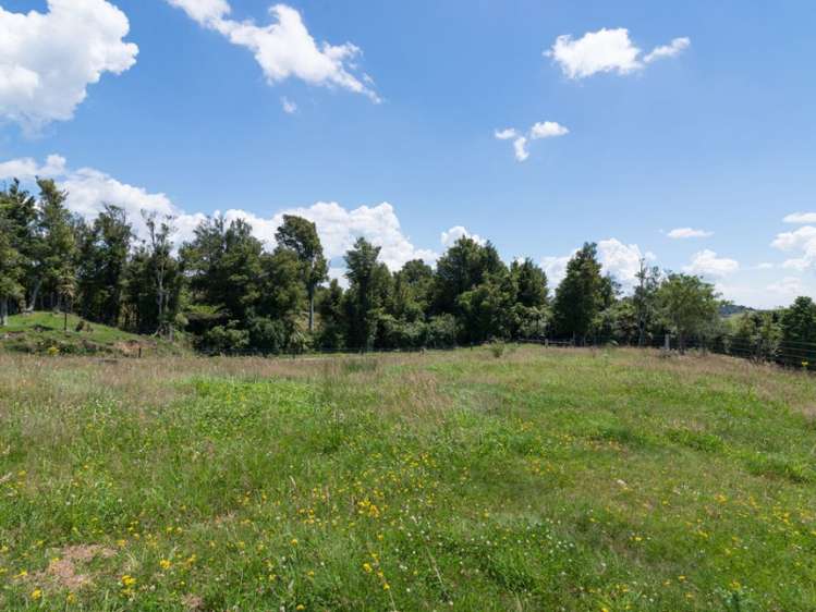 627 South Road Mamaku_10