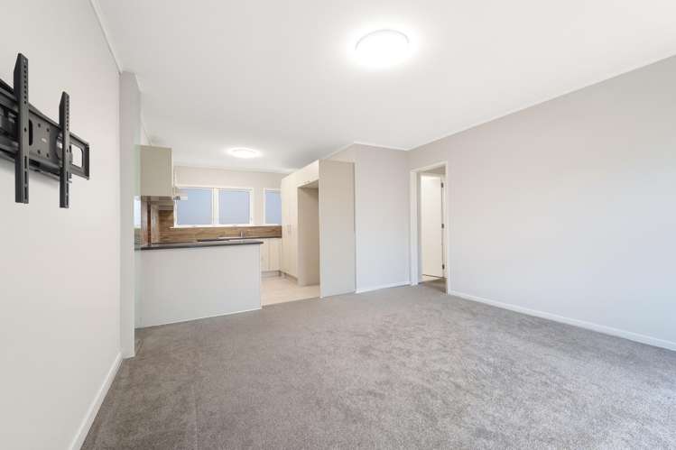 9/11 Tawera Road Greenlane_6