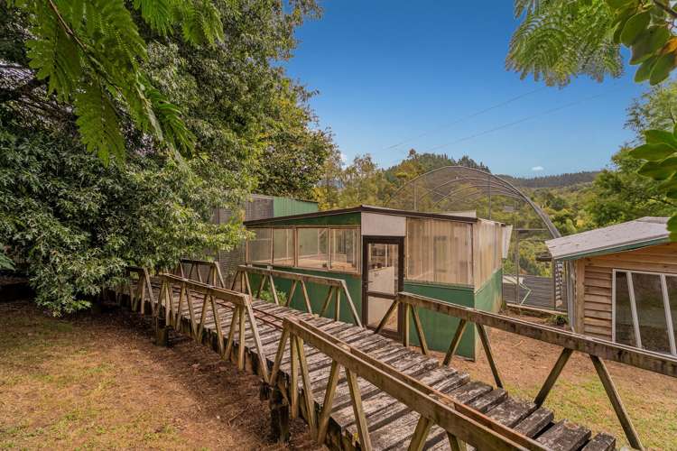 365 Mill Creek Road Whitianga_42