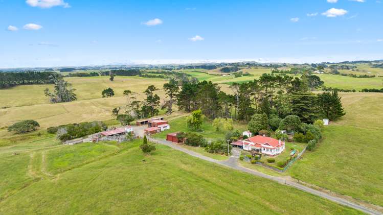 278 Te Toro Road Pollok_10