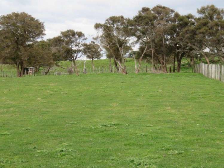 769 State Highway 2 Opaki_14