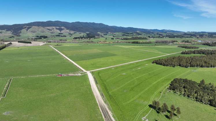 1807 Kahutara Road Kahutara_5