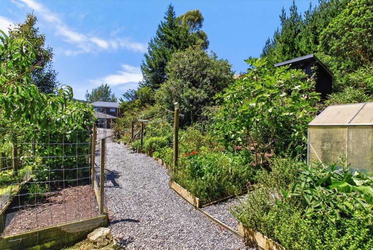 32 Maui Pomare Road Nikau Valley_39
