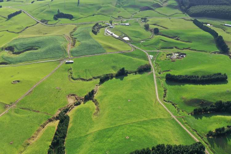 906 Waimahaka Fortification Road Fortification_15