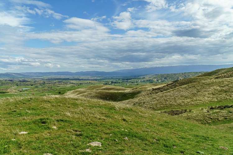 Corrigall Road Chatto Creek_7